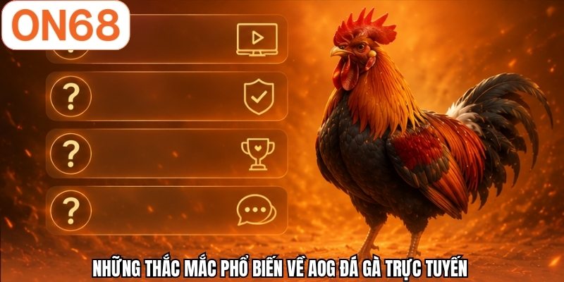 Những thắc mắc phổ biến về AOG đá gà trực tuyến 
